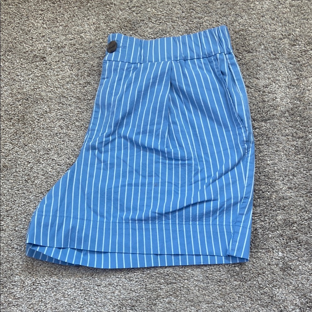 Blue Striped Women's Skirt